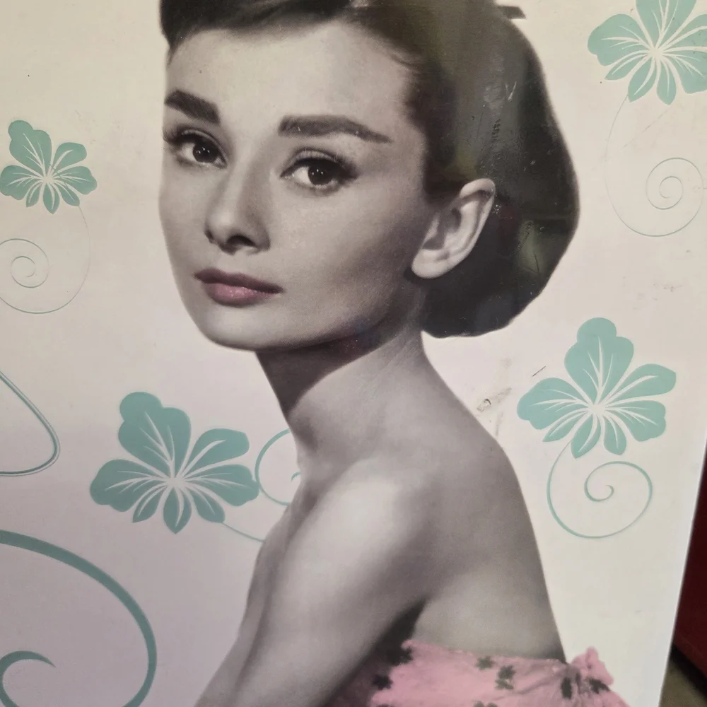 🆕️🎁Audrey Hepburn 2015 (2026) Official 18-Month Calendar🎅